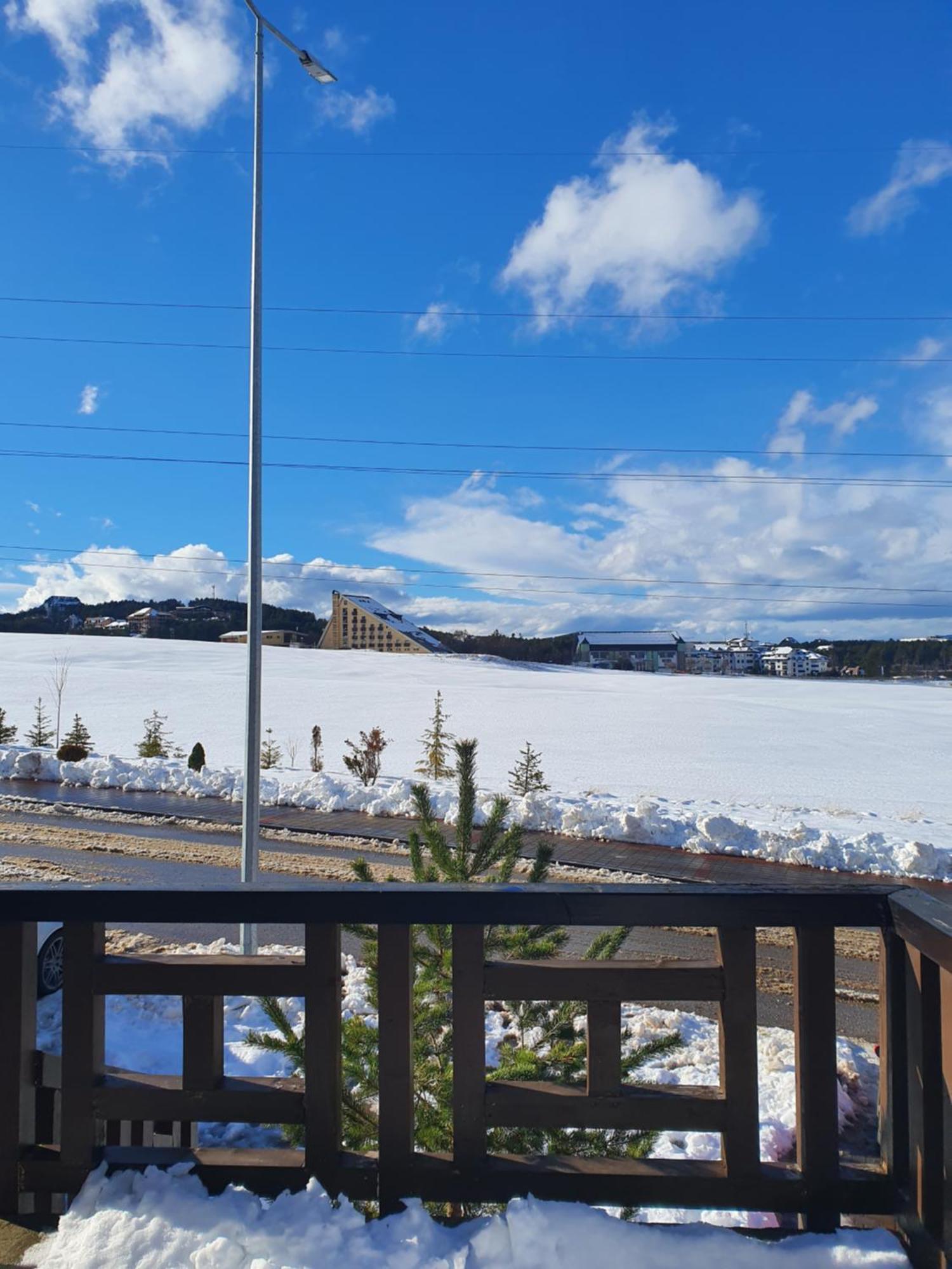 Goga Zlatibor