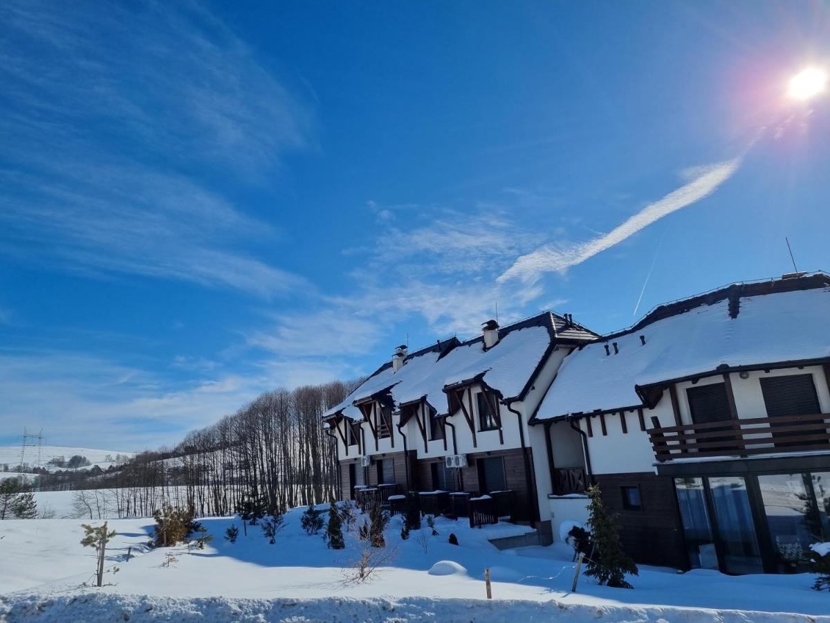 Apartment Goga